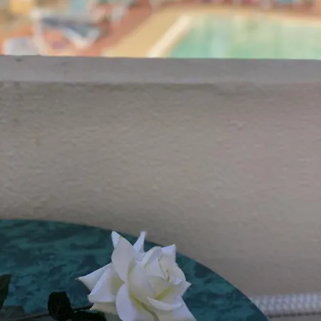 Amazing Complex Pool View & Relax Apartament Costa Adeje (Tenerife)