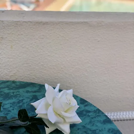 Amazing Complex Pool View & Relax Appartement