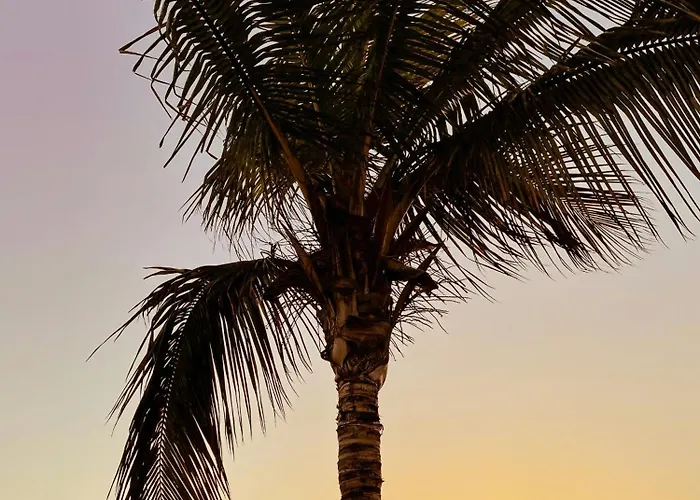 Amazing Complex Pool View & Relax Apartament *