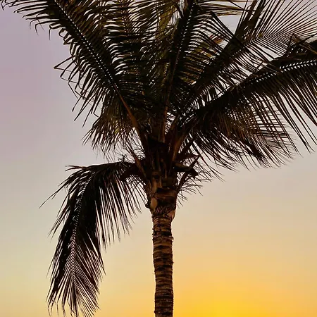 Amazing Complex Pool View & Relax アパート *