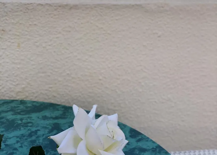 Amazing Complex Pool View & Relax Lejlighed